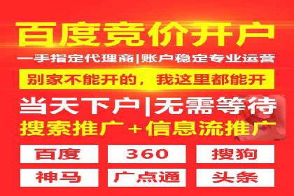 行业专家解读：专业SEM托管的五大成功案例